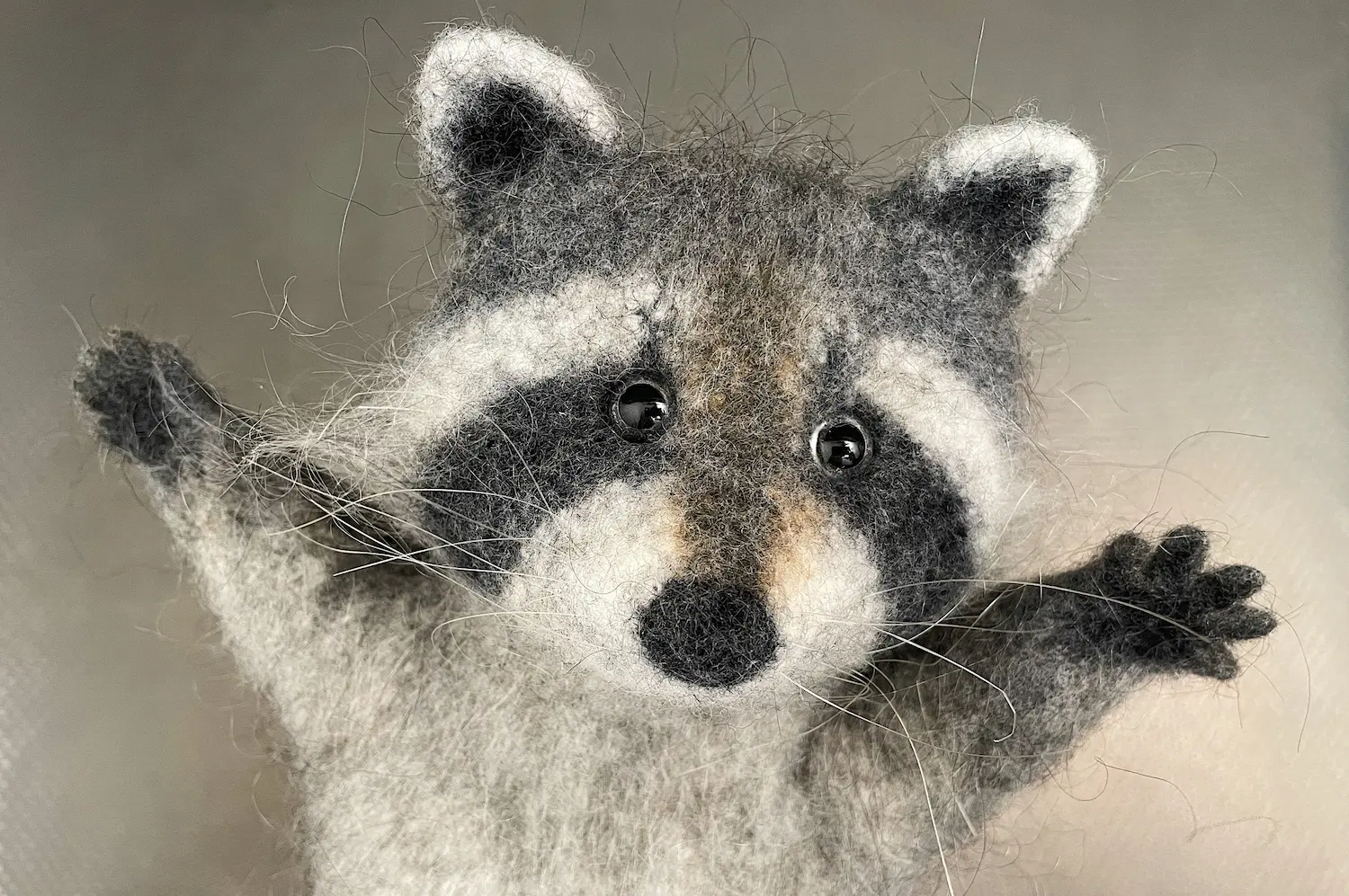 The Raccoon Hand Puppet Online Course