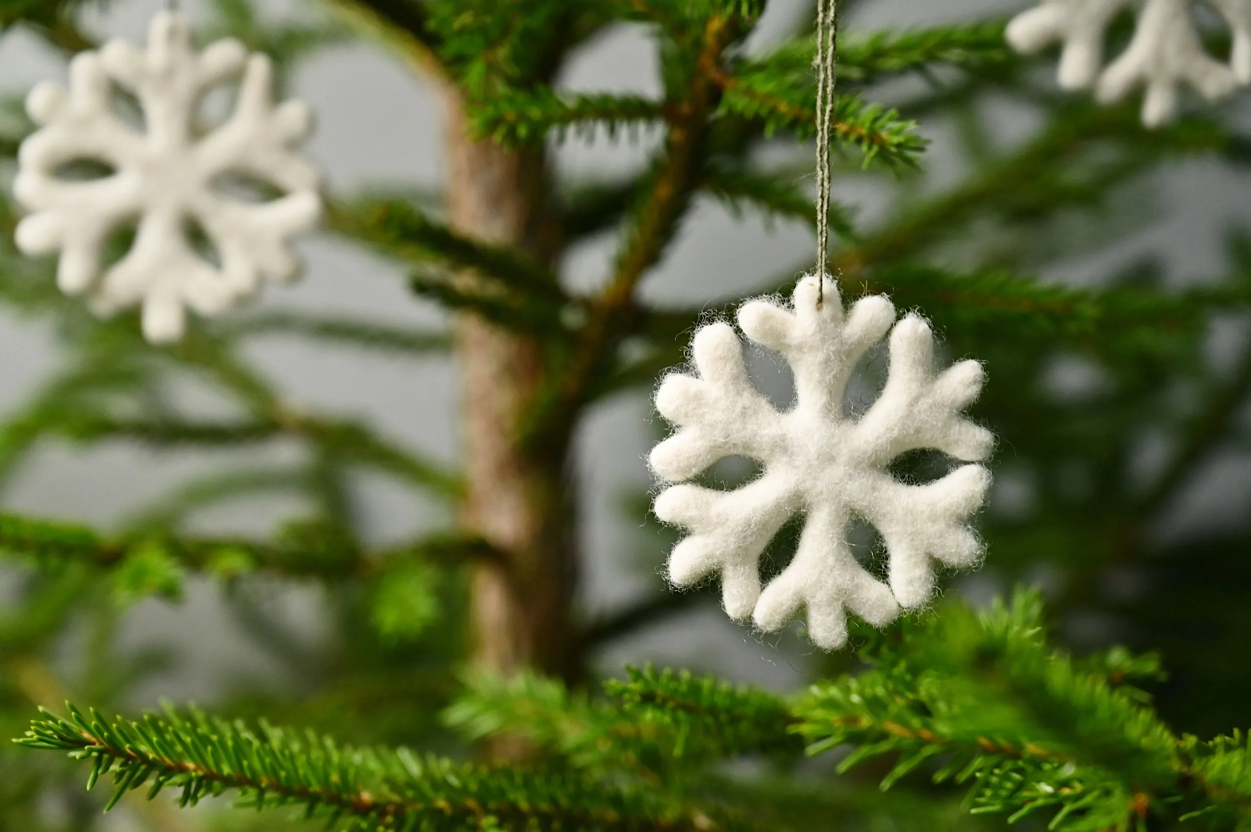 Snowflake Workshop