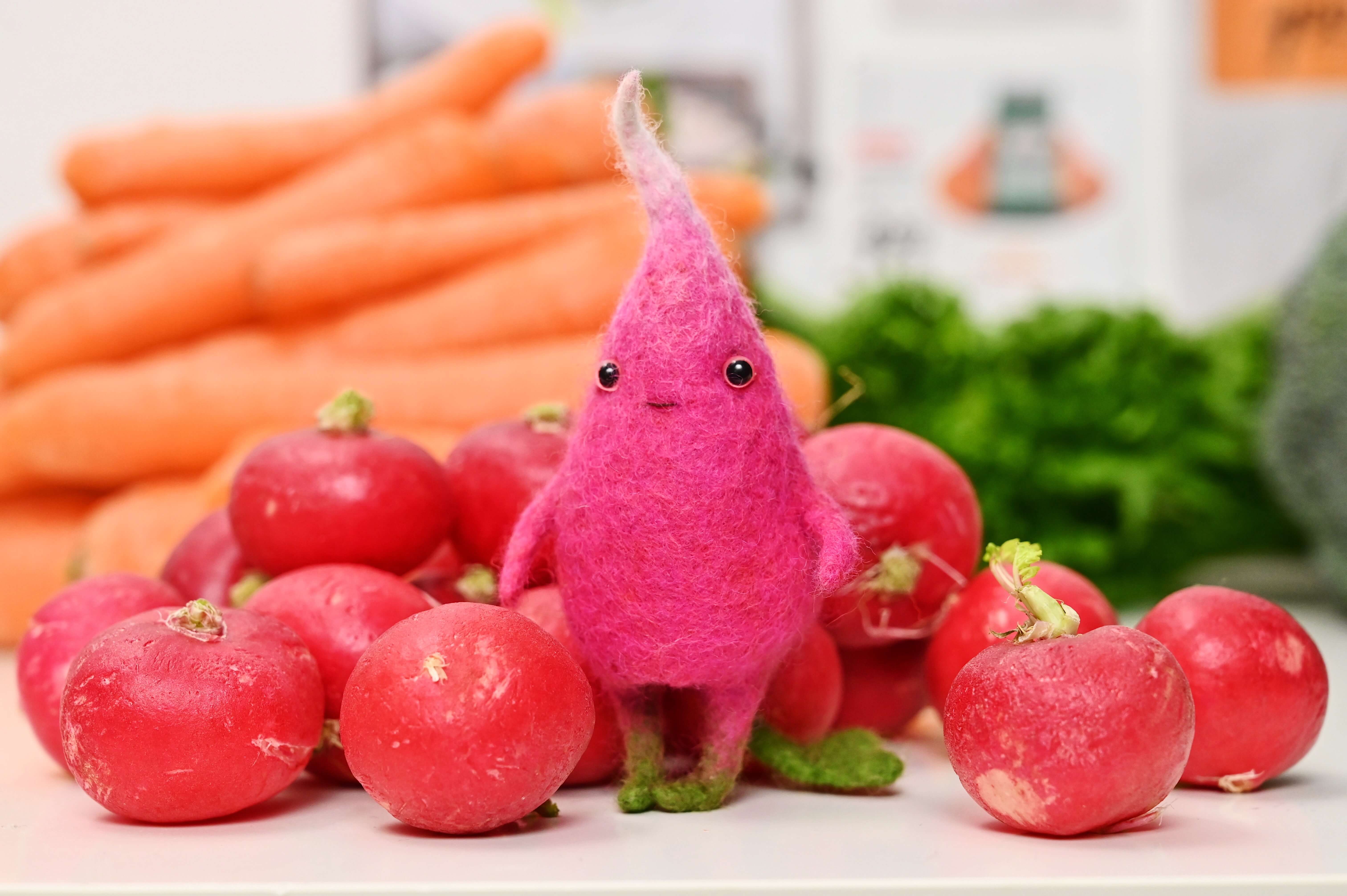 Cтрим-курс “Шерстяной огород” - изображение 1