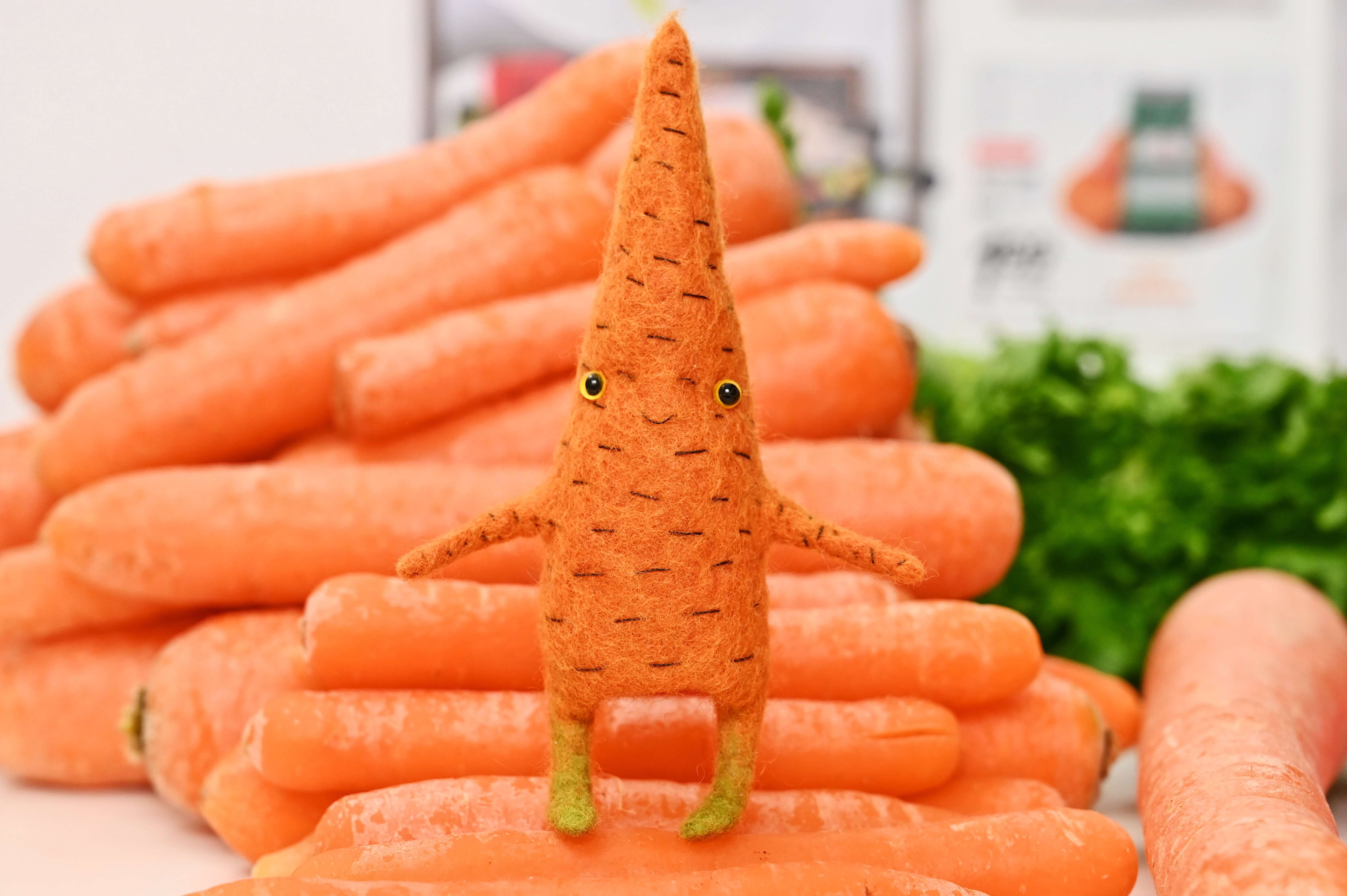 Cтрим-курс “Шерстяной огород” - изображение 2