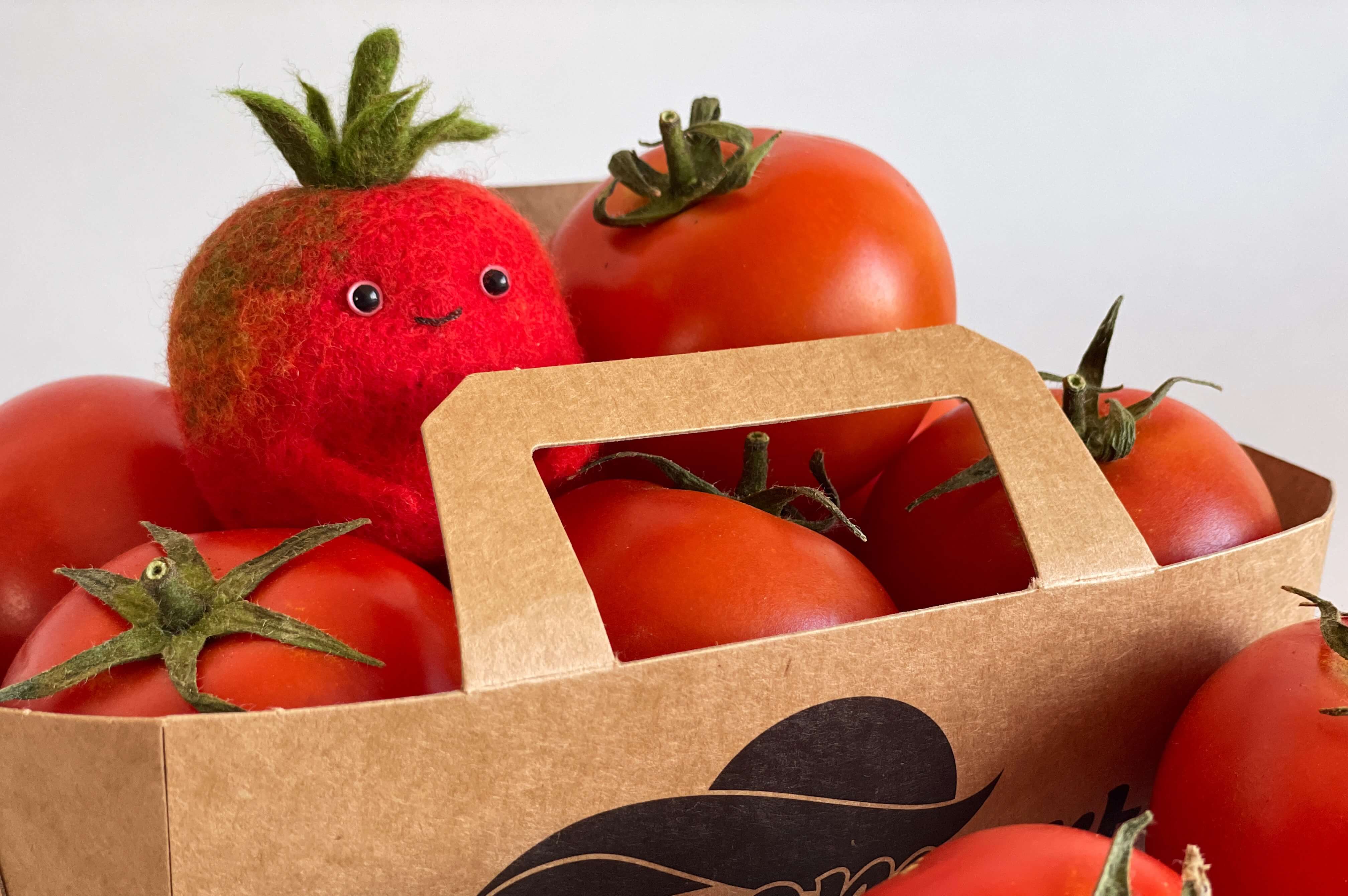 Cтрим-курс “Шерстяной огород” - изображение 3