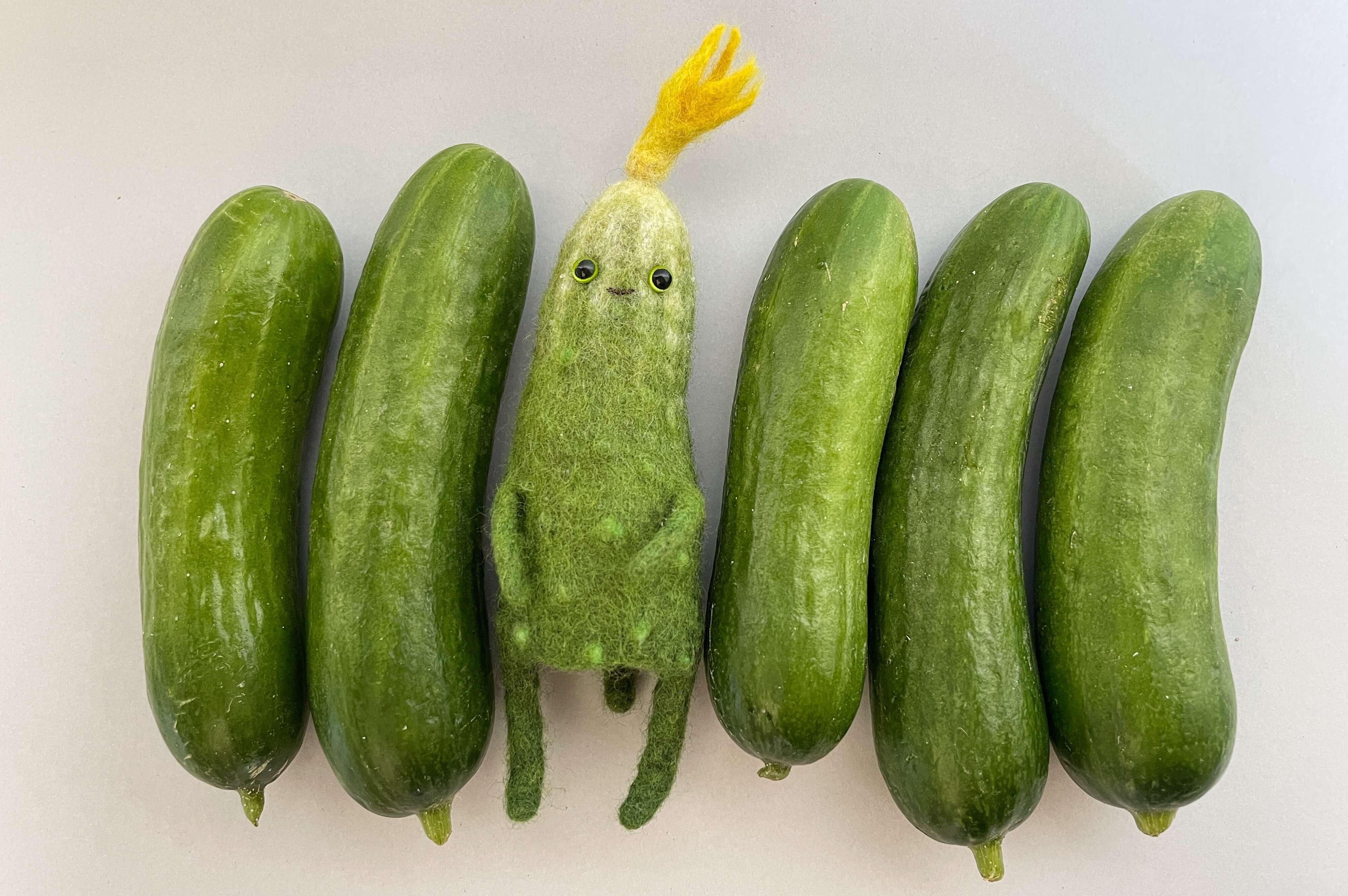 Cтрим-курс “Шерстяной огород” - изображение 4