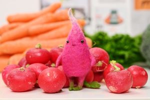 Cтрим-курс “Шерстяной огород” миниатюра 1