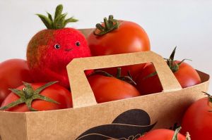 Cтрим-курс “Шерстяной огород” миниатюра 3