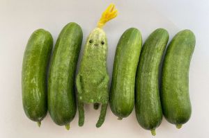 Cтрим-курс “Шерстяной огород” миниатюра 4