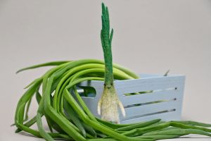 Cтрим-курс “Шерстяной огород” миниатюра 5