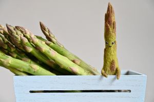 Cтрим-курс “Шерстяной огород” миниатюра 7