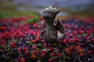 Стрим-курс по дракону миниатюра 1