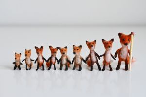 Запись стрим-курса по крошке лисе миниатюра 2