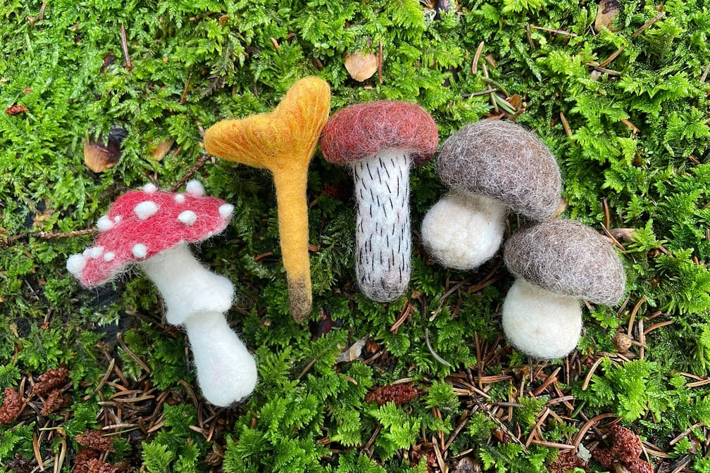 Free Felted Mushrooms Workshop
