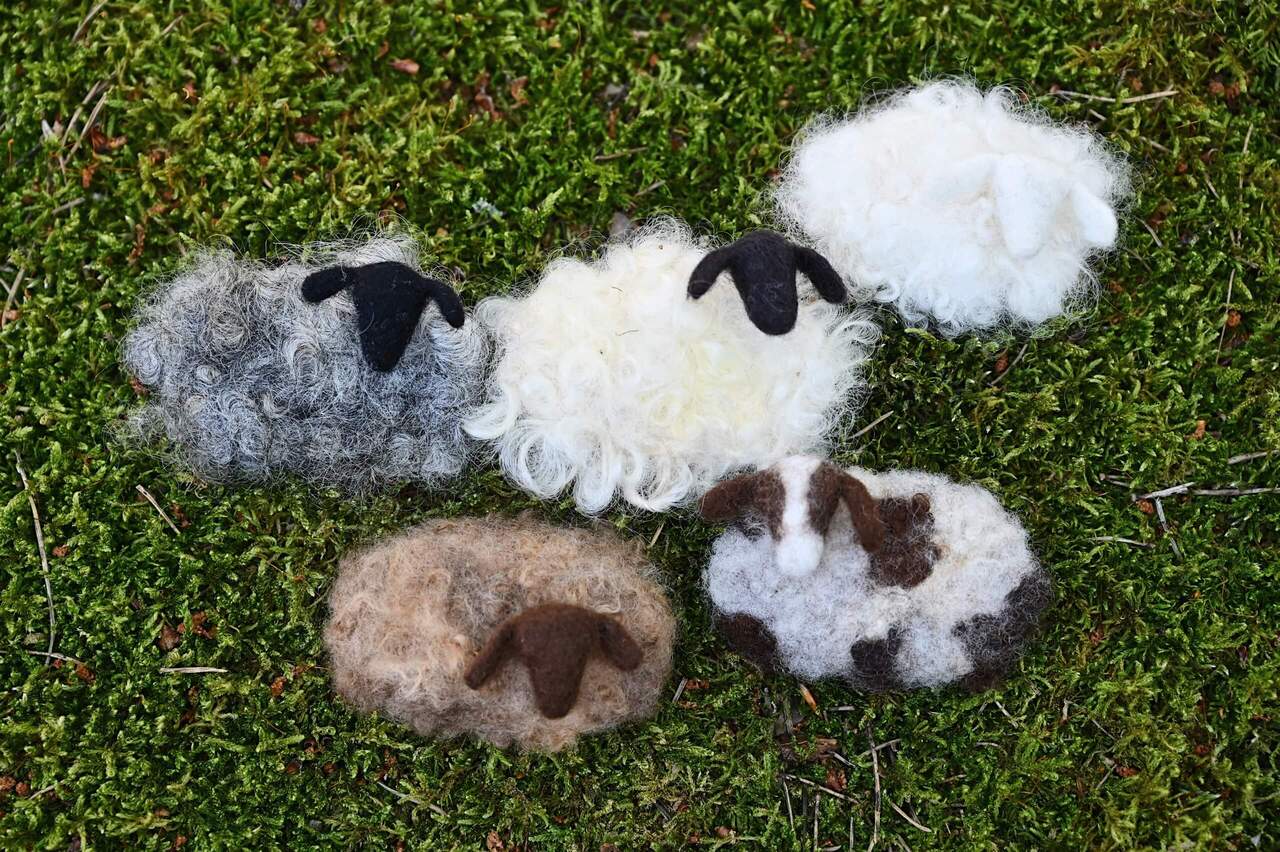 Free Sheep Brooch Workshop